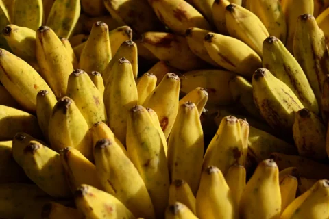 Does your podcast have an expiry date?