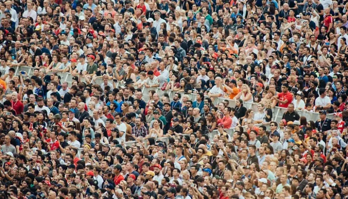 If you want to stand out from the crowd, understand the crowd